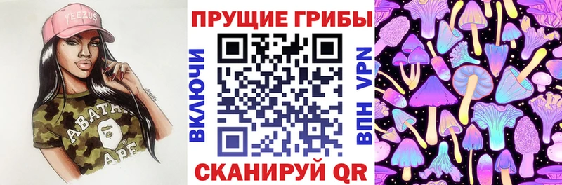 Псилоцибиновые грибы Magic Shrooms  Козельск 